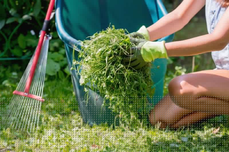 Groundskeeping Service