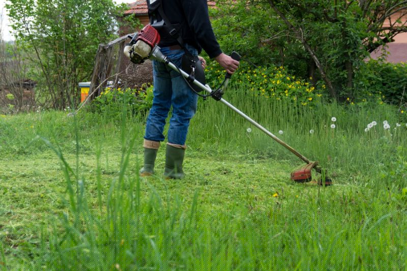 Tall Grass Mowing