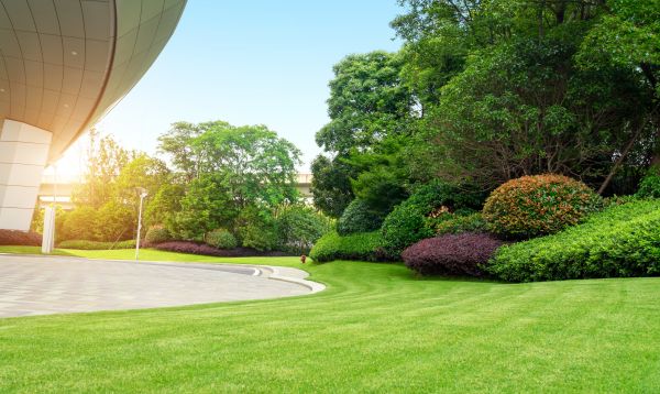 Cost of Commercial Lawn Care in Bella Vista