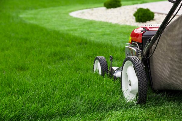 Cost of Grass Cutting Service in Bella Vista