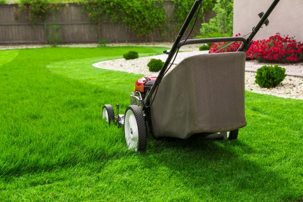Cost of Home Yard Maintenance in Bella Vista