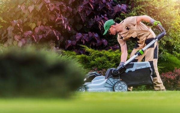 Cost of Lawn Care And Maintenance in Bella Vista