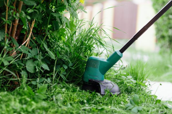 Cost of Weed Whacking in Bella Vista