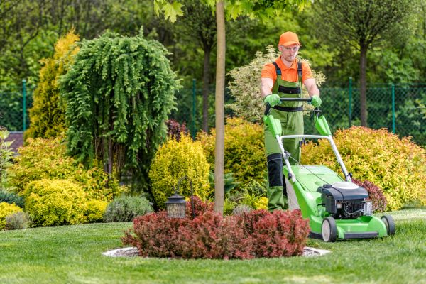 Cost of Yard Service in Bella Vista