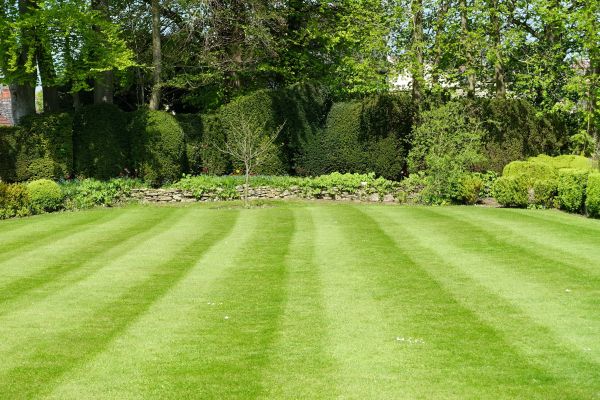 Cost of Grass Care Service in Bella Vista