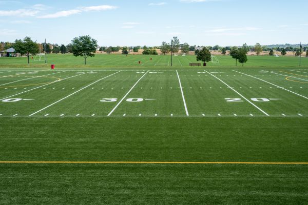 Cost of Groundskeeping Service in Bella Vista