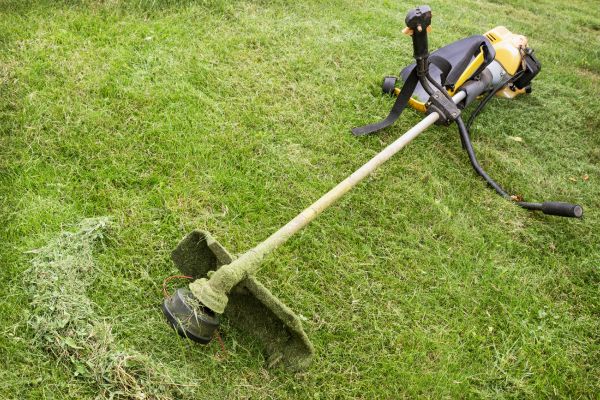 Cost of Hillside Weed Whacking in Bella Vista