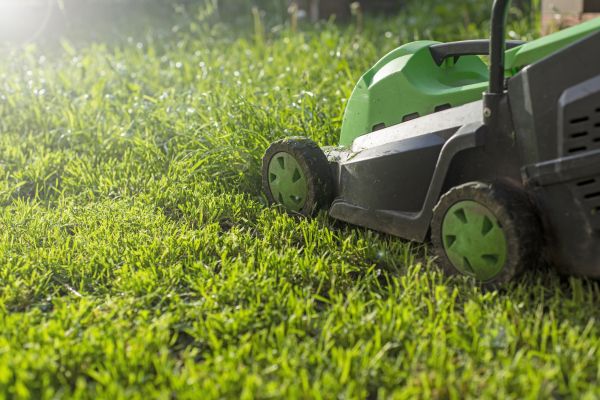 Cost of Lot Mowing in Bella Vista