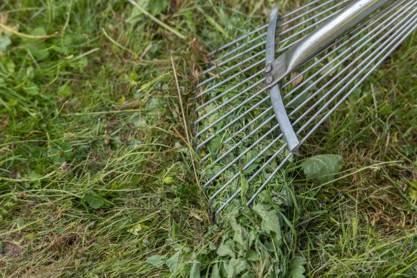 Cost of Thatch Raking in Bella Vista