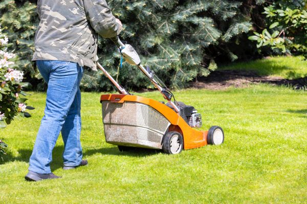 Cost of Springtime Lawn Care in Bella Vista
