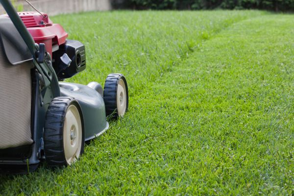 Cost of Spring Lawn Maintenance in Bella Vista