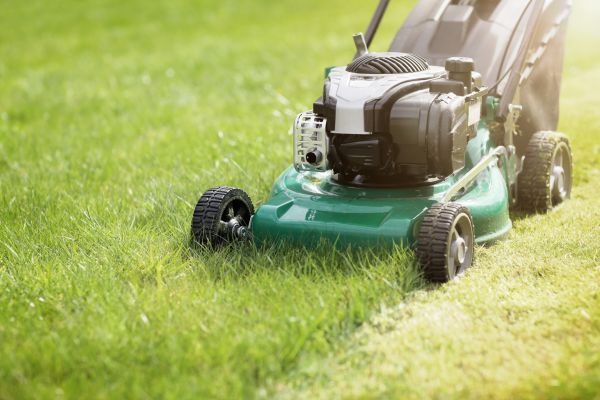 Cost of Spring Grass Trimming in Bella Vista